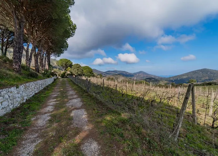 빌라 Campo Al Pero